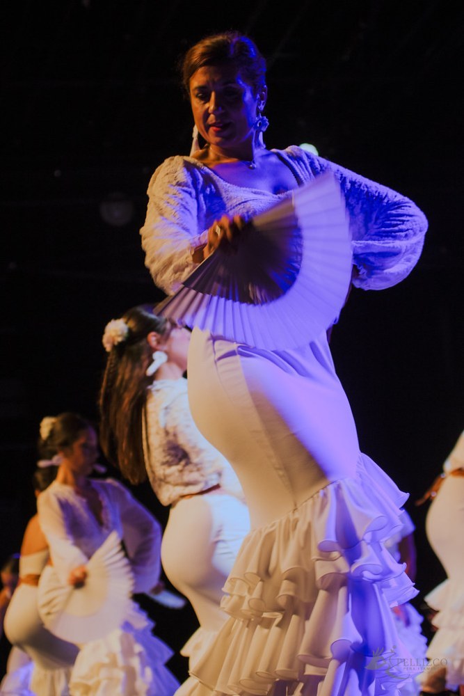 Guajiras