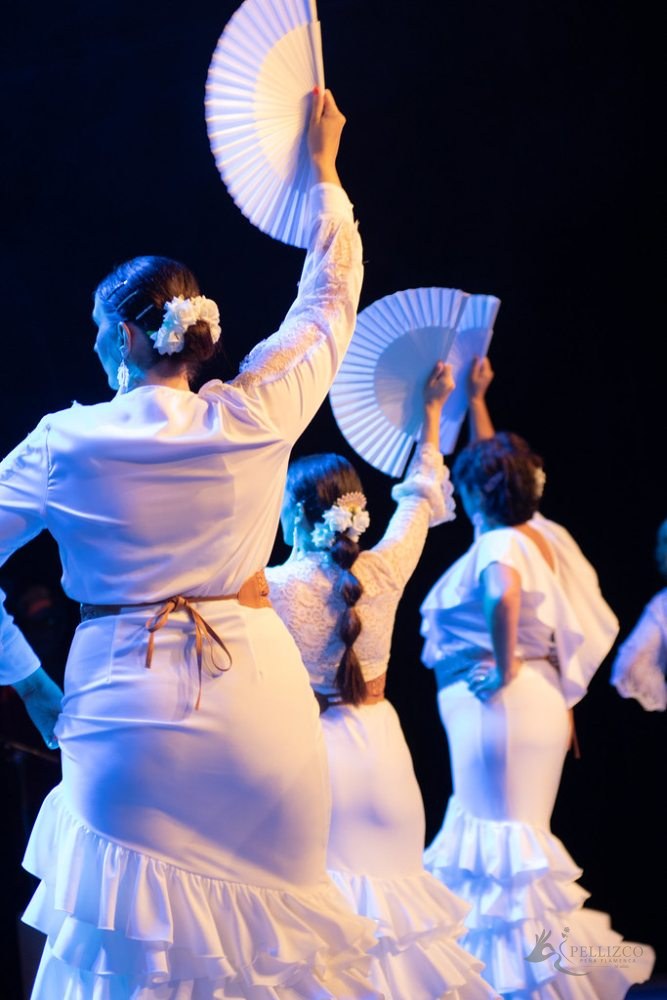 Guajiras