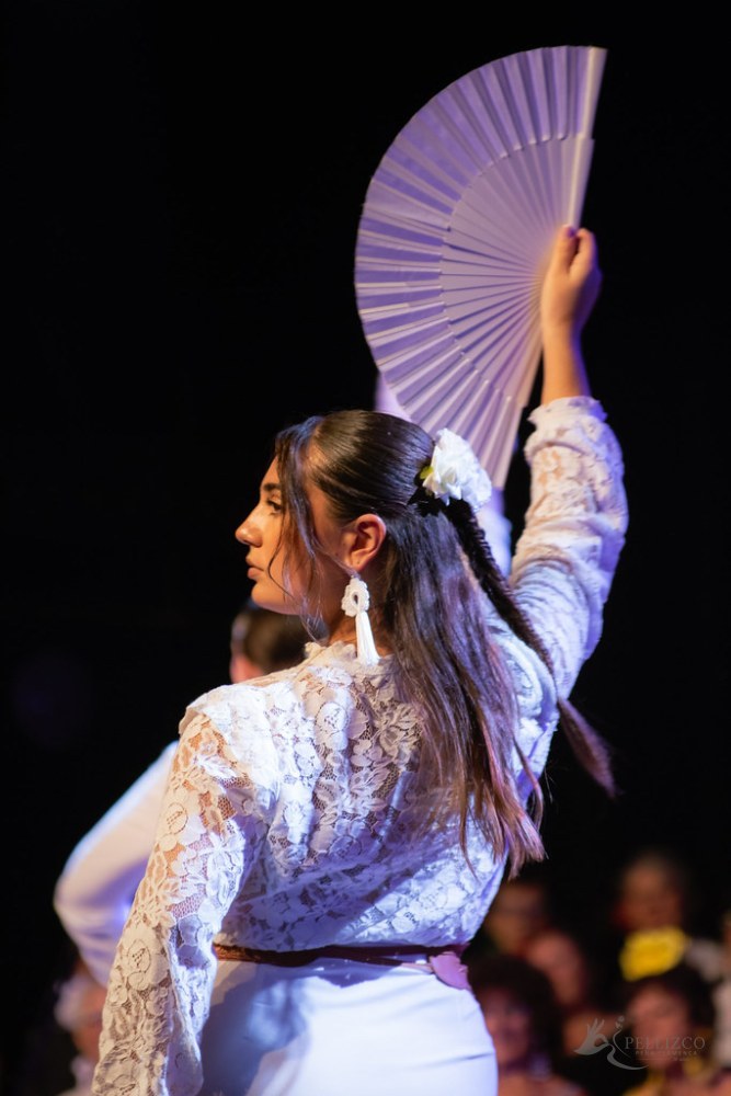 Guajiras