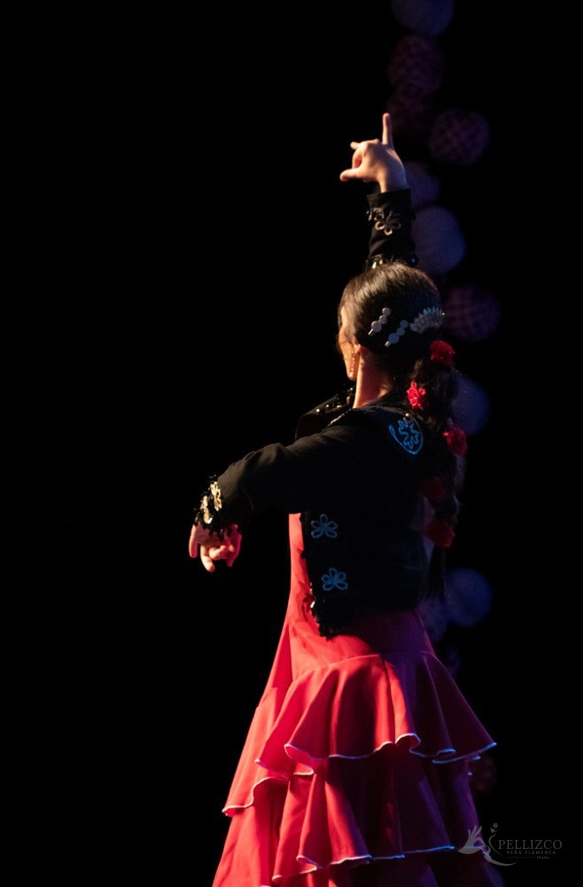 Photo de spectacle