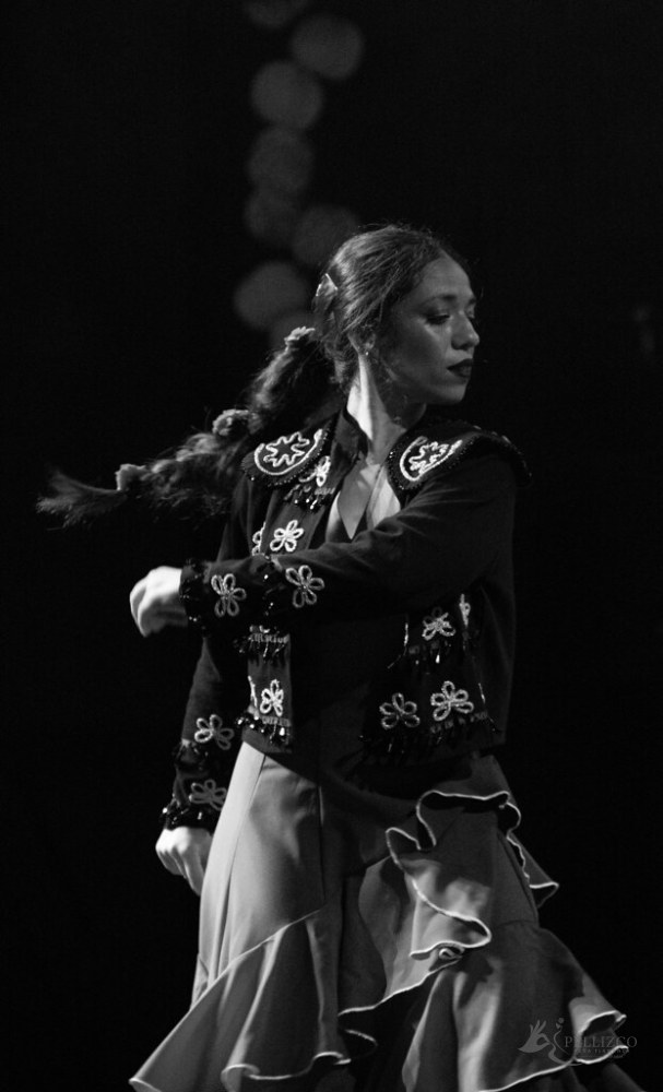 Photo de spectacle