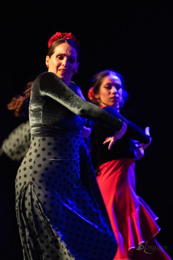Photo de spectacle