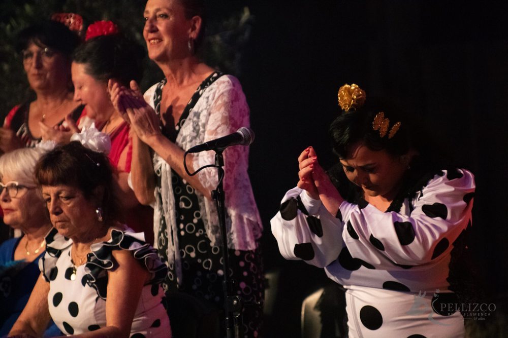 Photo de spectacle