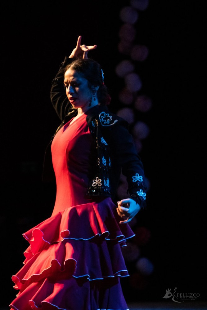 Photo de spectacle