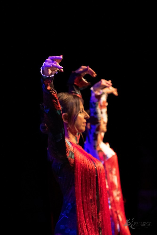 Photo de spectacle