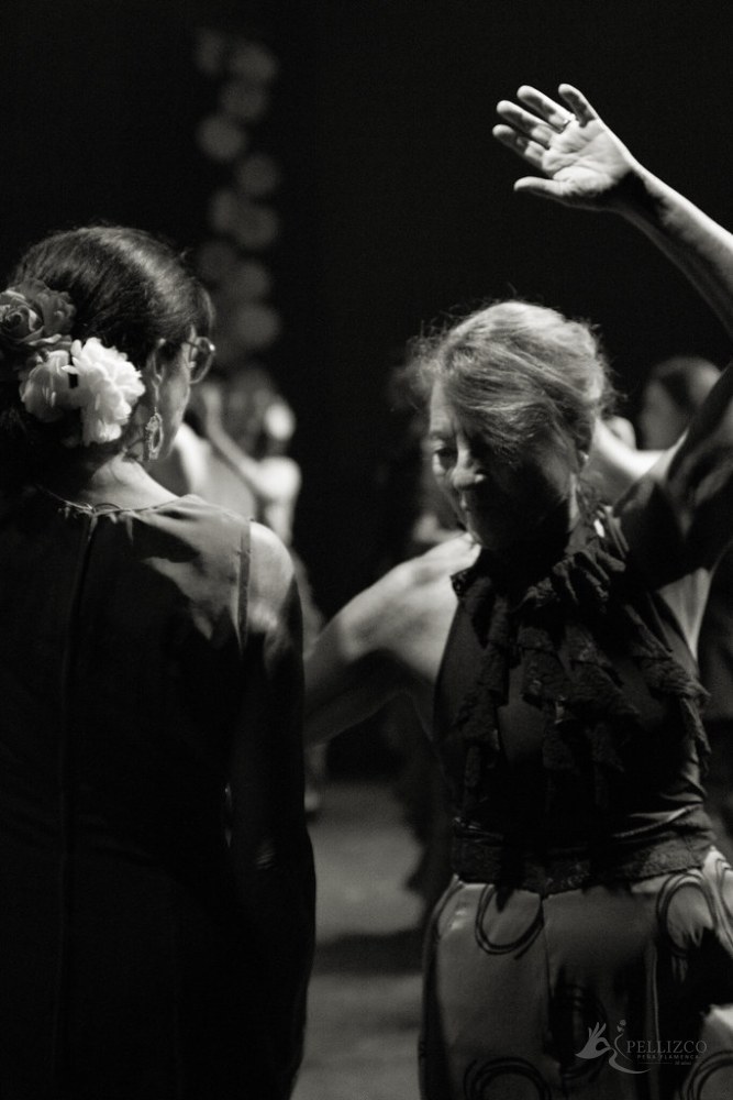 Photo de spectacle