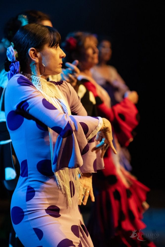 Photo de spectacle