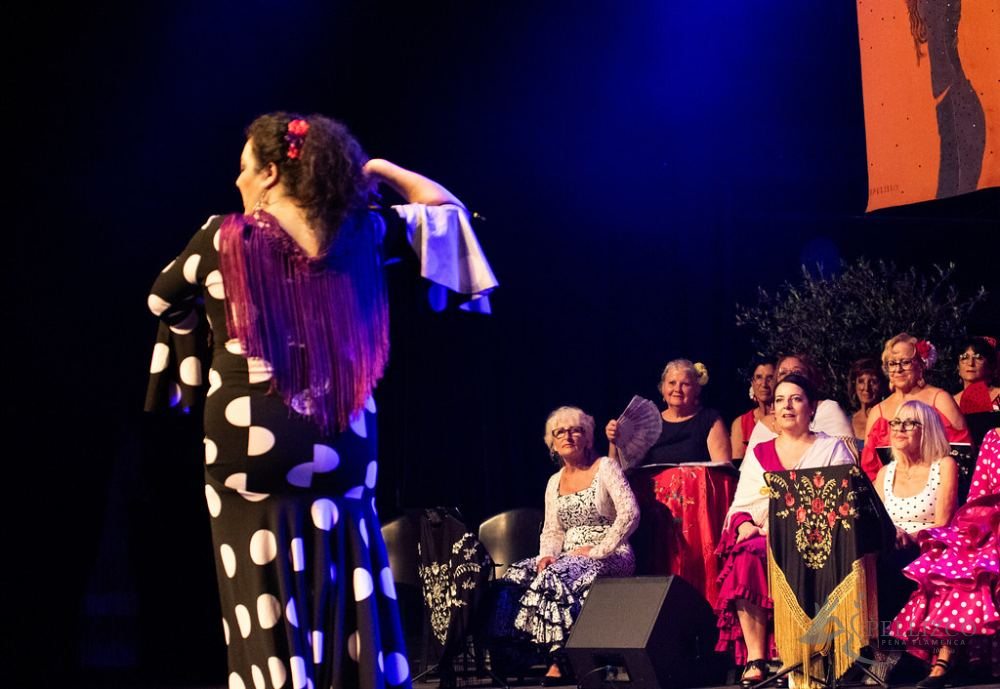 Photo de spectacle