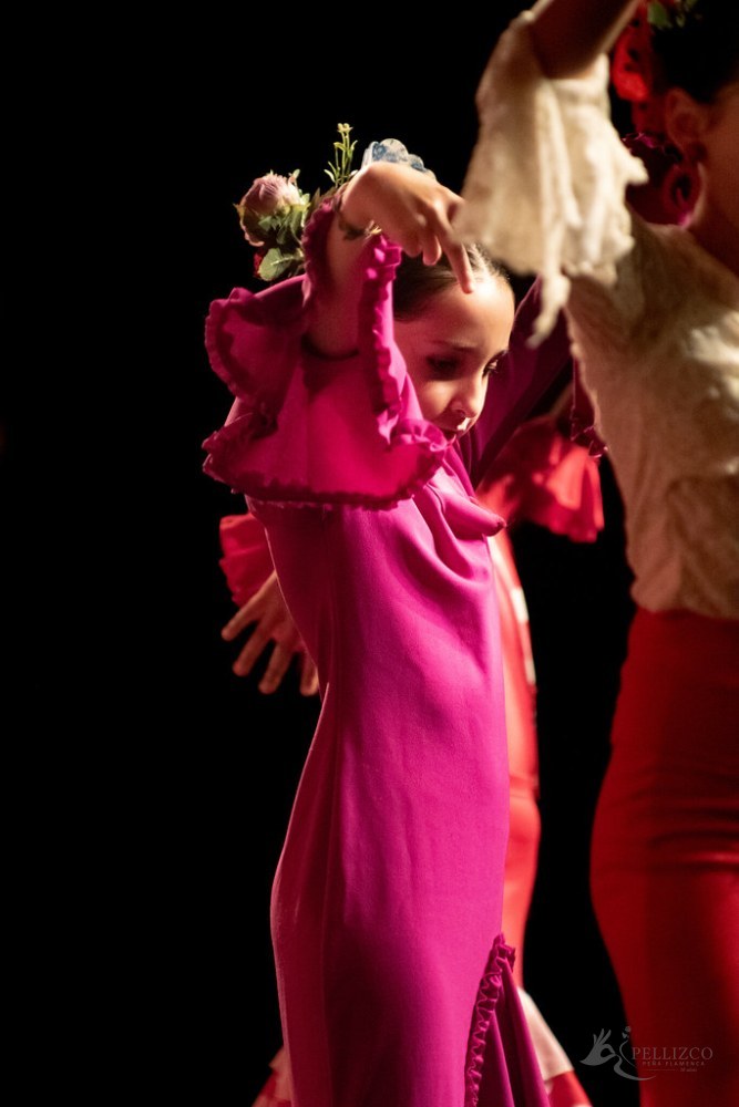 Photo de spectacle