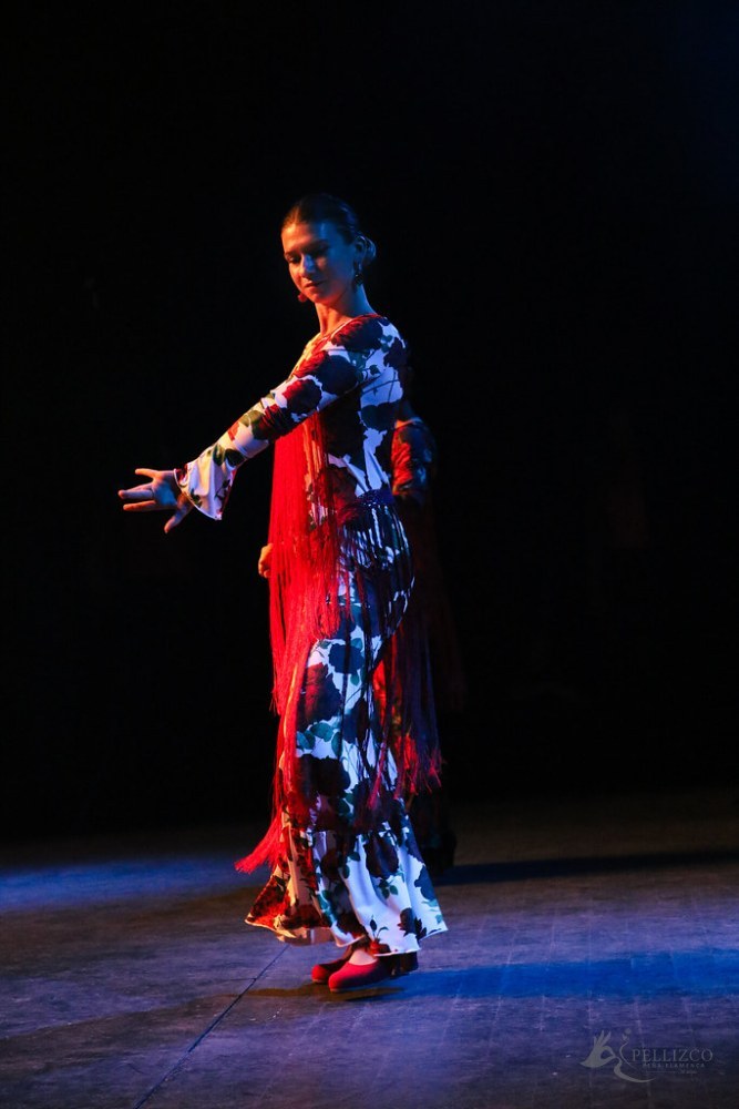Photo de spectacle