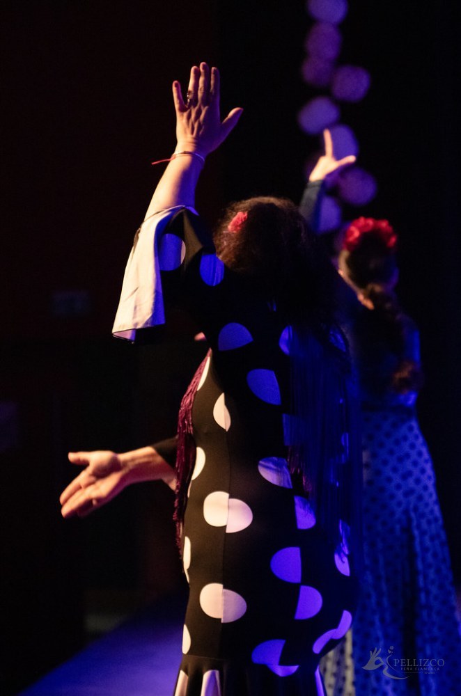 Photo de spectacle