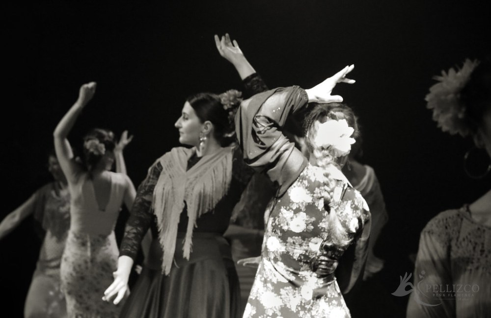 Photo de spectacle