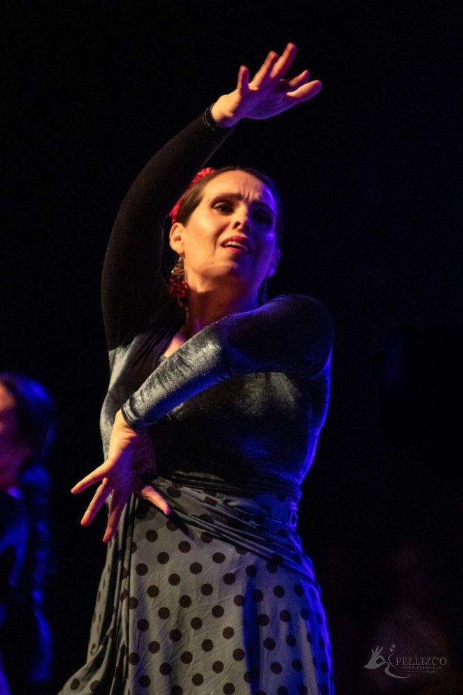 Photo de spectacle