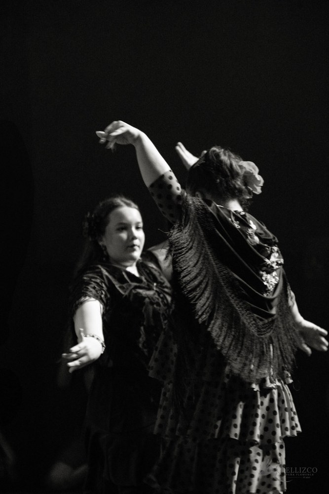 Photo de spectacle