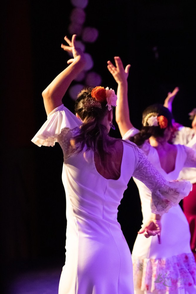 Photo de spectacle