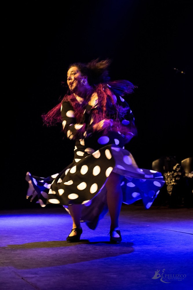 Photo de spectacle
