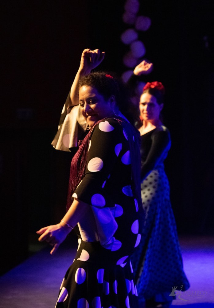 Photo de spectacle