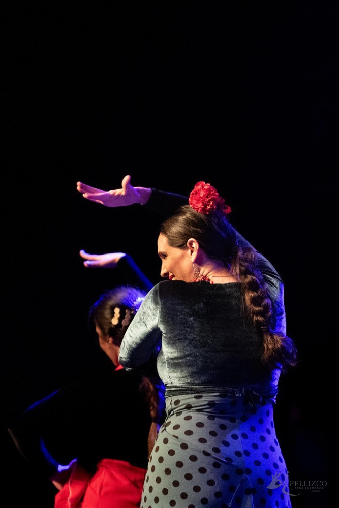 Photo de spectacle