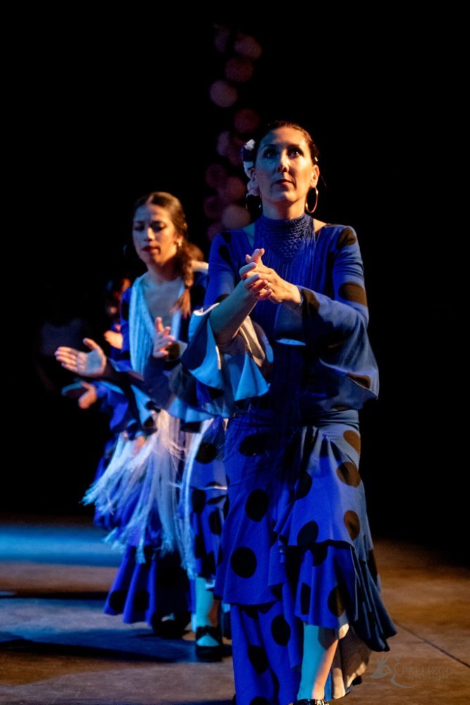 Photo de spectacle