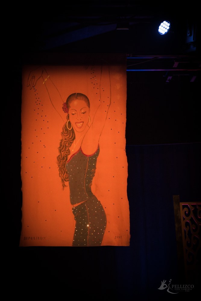 Photo de spectacle
