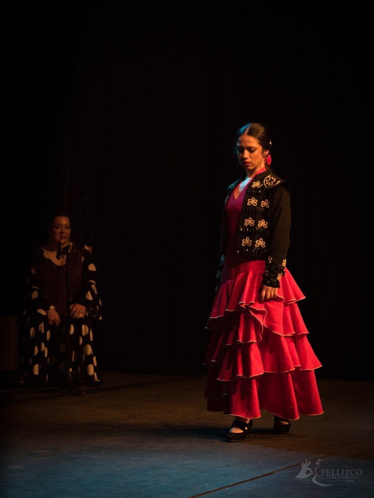 Photo de spectacle