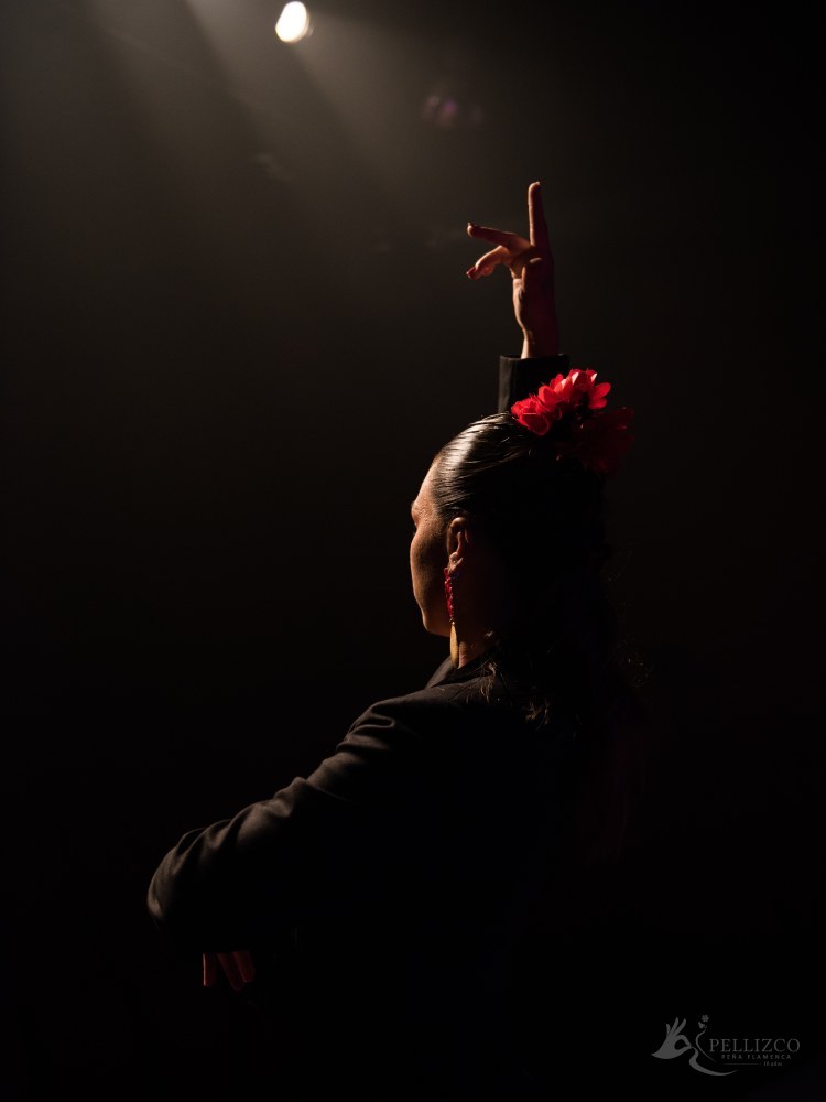 Photo de spectacle