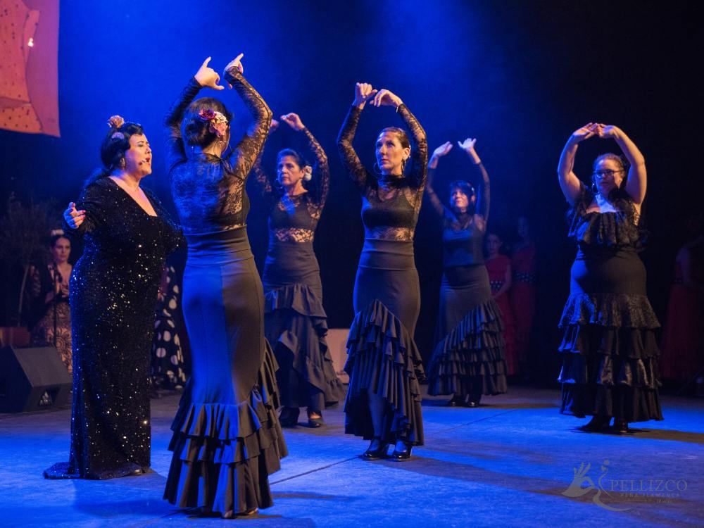 Photo de spectacle