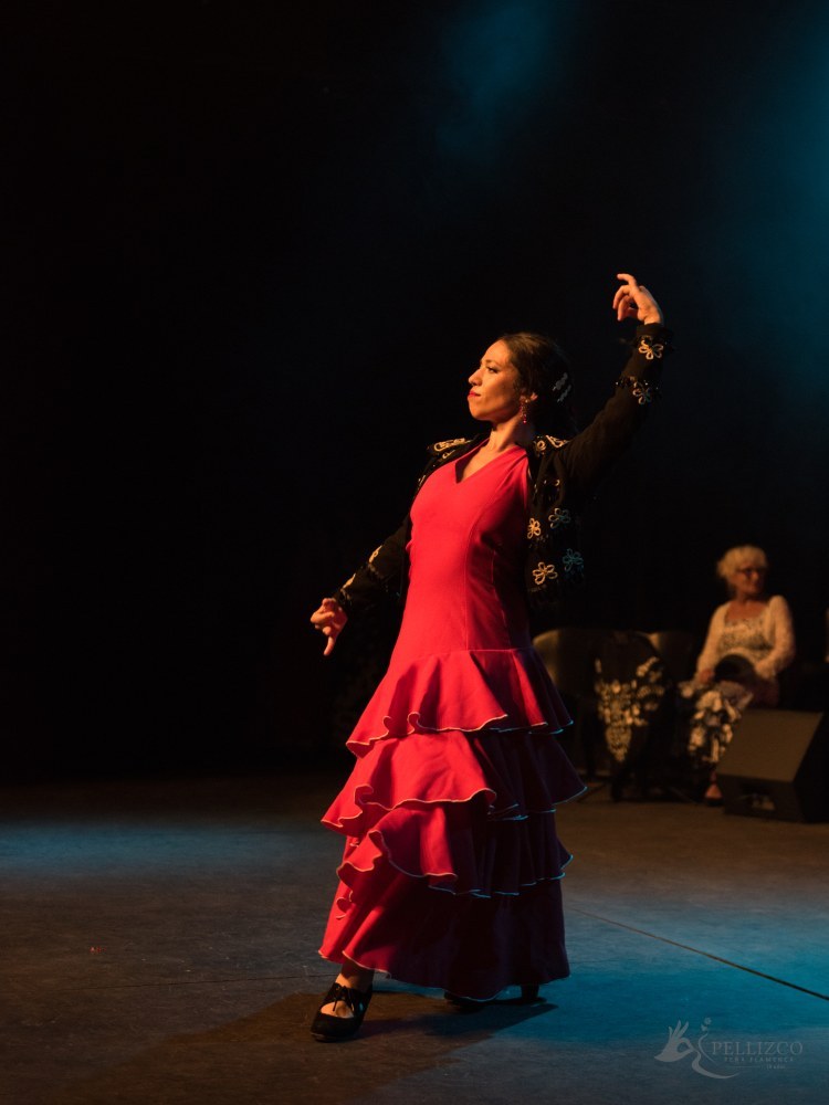 Photo de spectacle