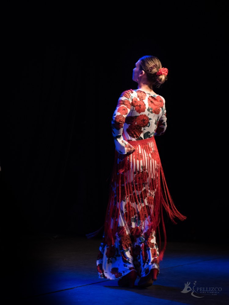 Photo de spectacle
