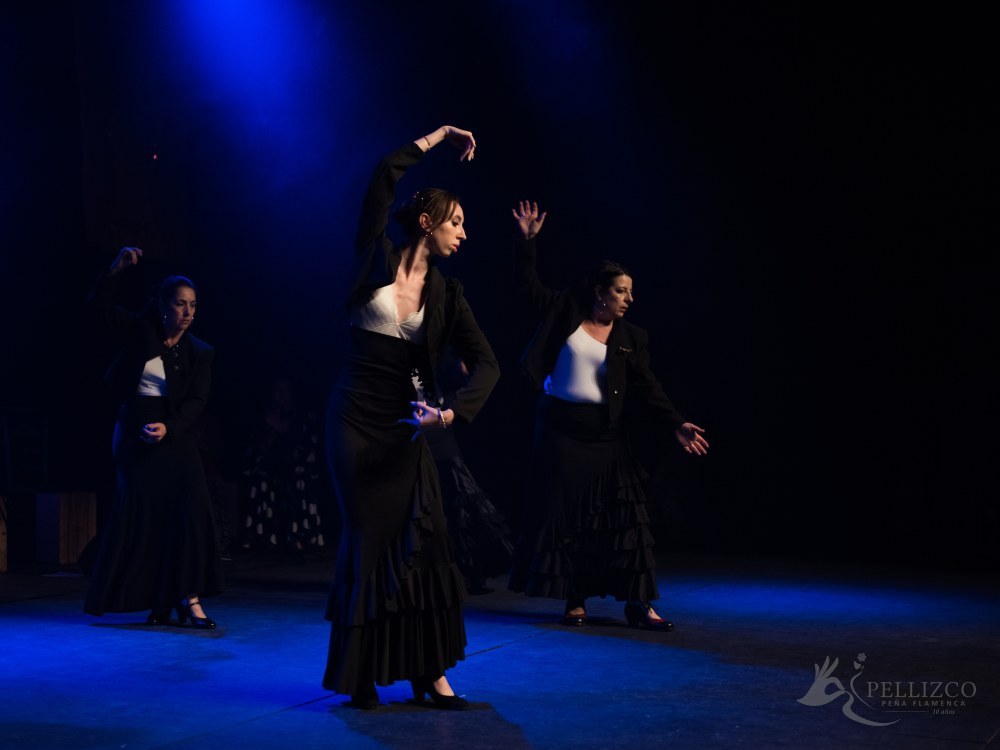 Photo de spectacle