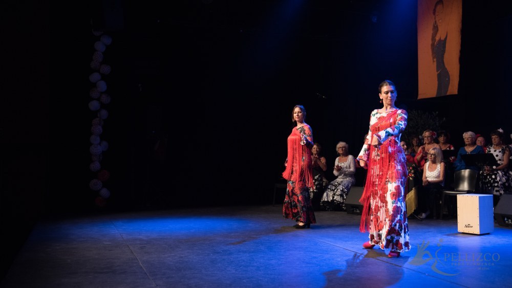 Photo de spectacle