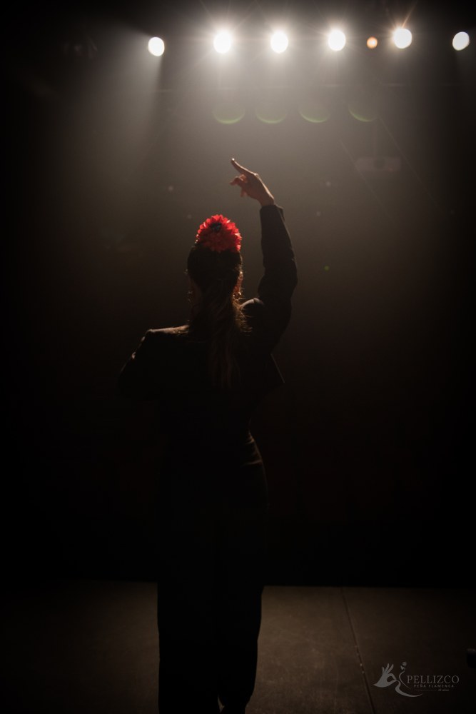 Photo de spectacle