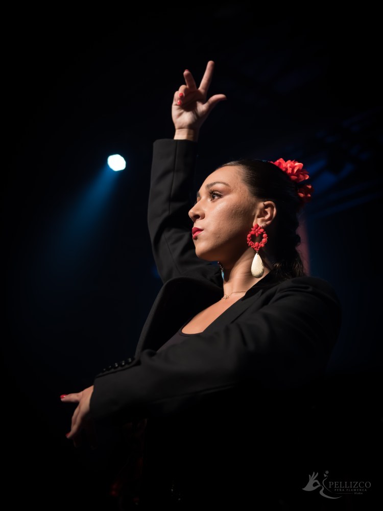 Photo de spectacle