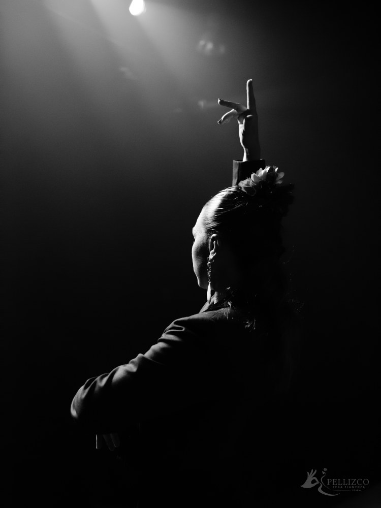 Photo de spectacle