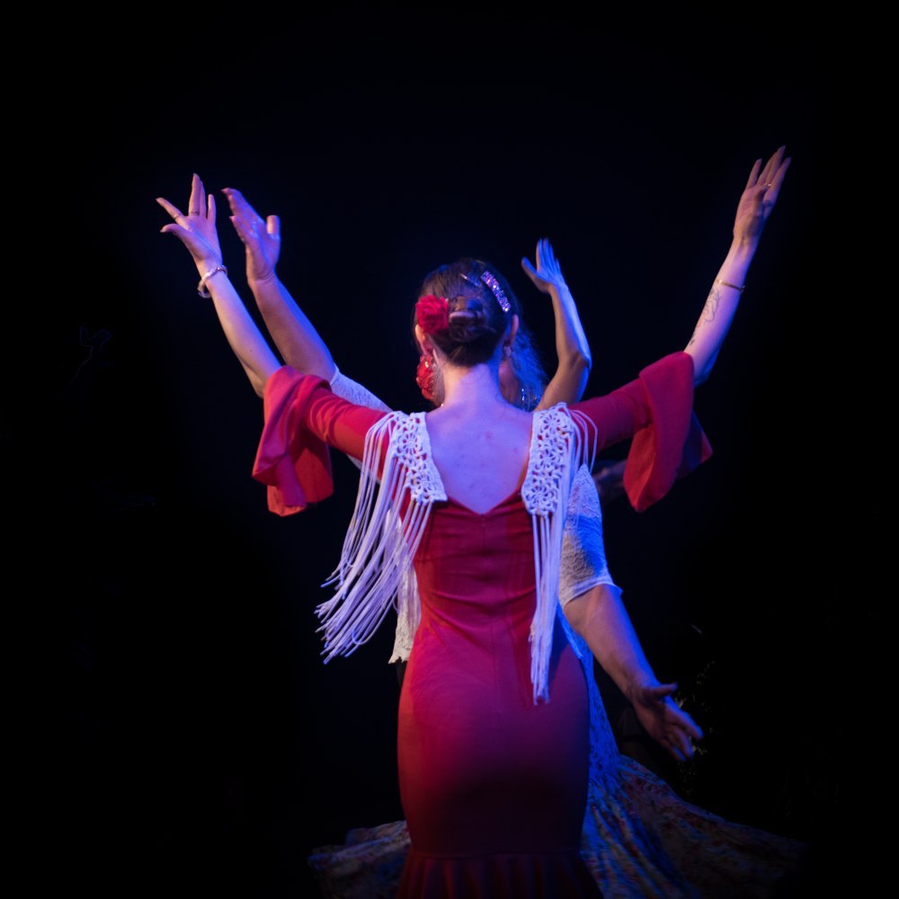 Photo de spectacle