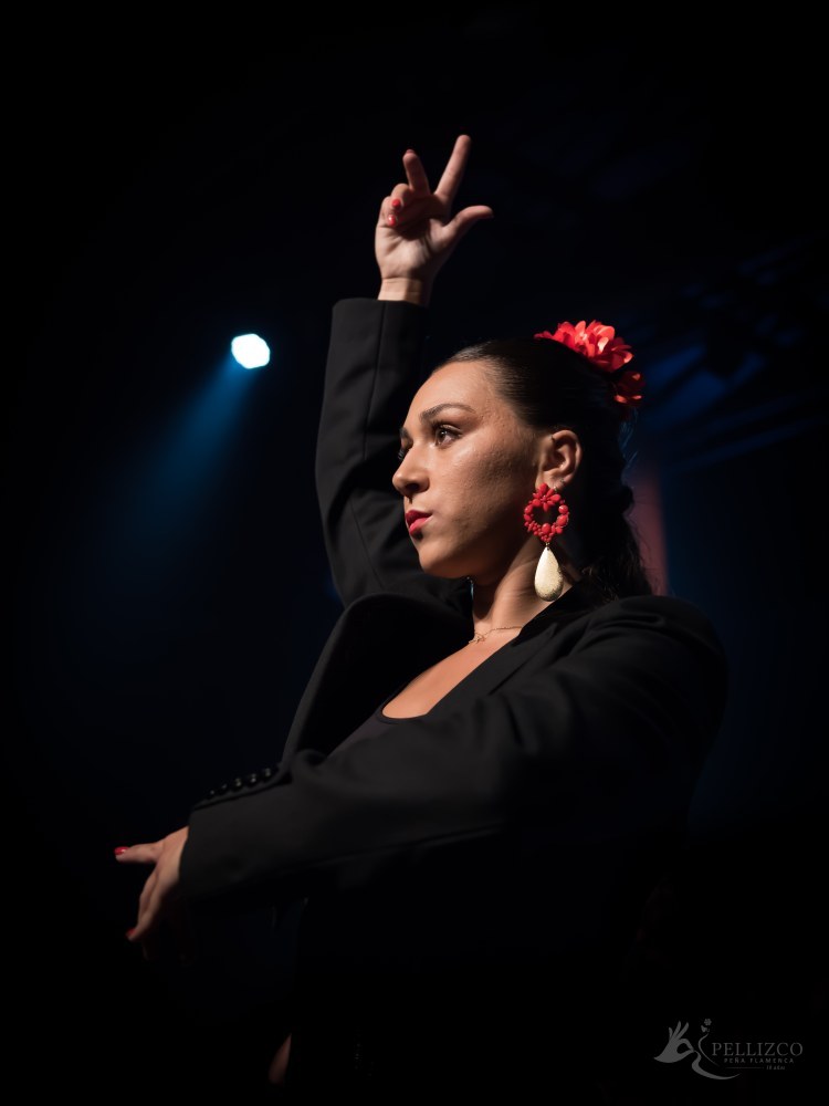 Photo de spectacle