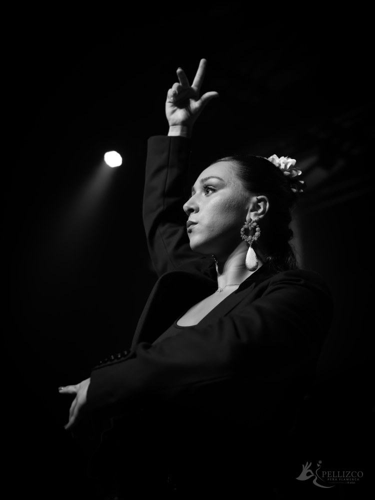 Photo de spectacle