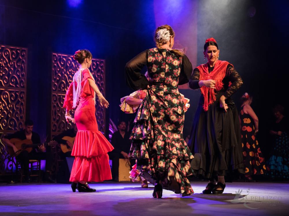 Photo de spectacle
