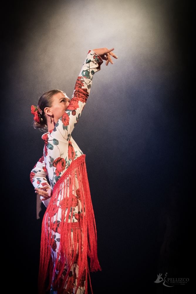 Photo de spectacle
