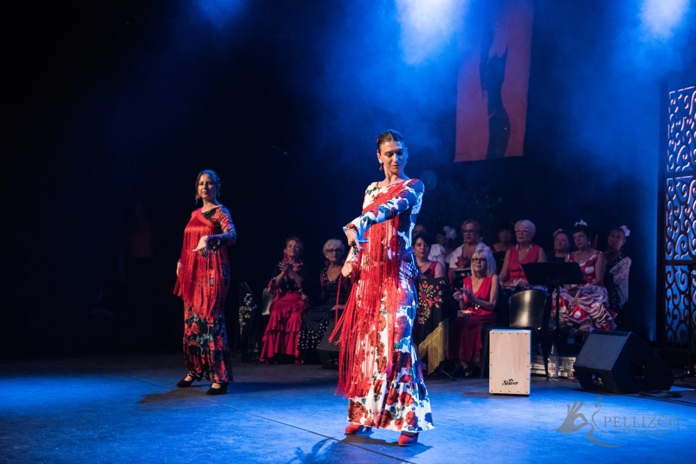 Photo de spectacle