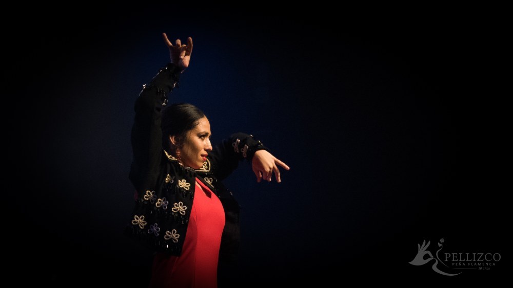 Photo de spectacle