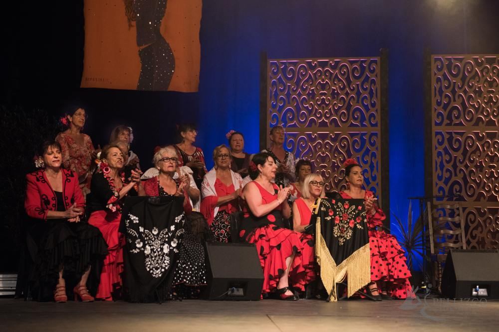 Photo de spectacle