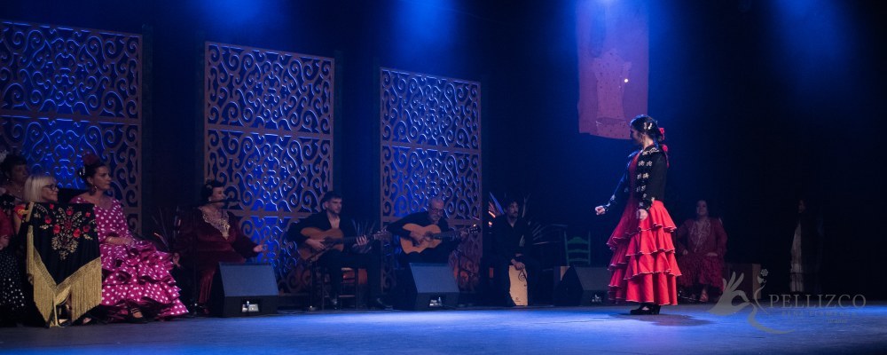 Photo de spectacle