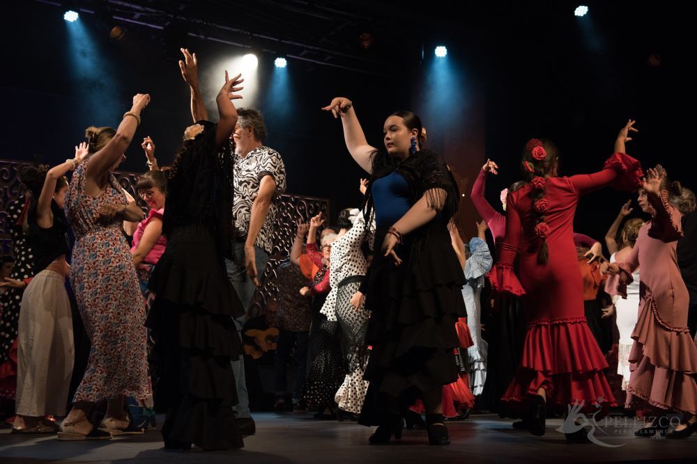 Photo de spectacle