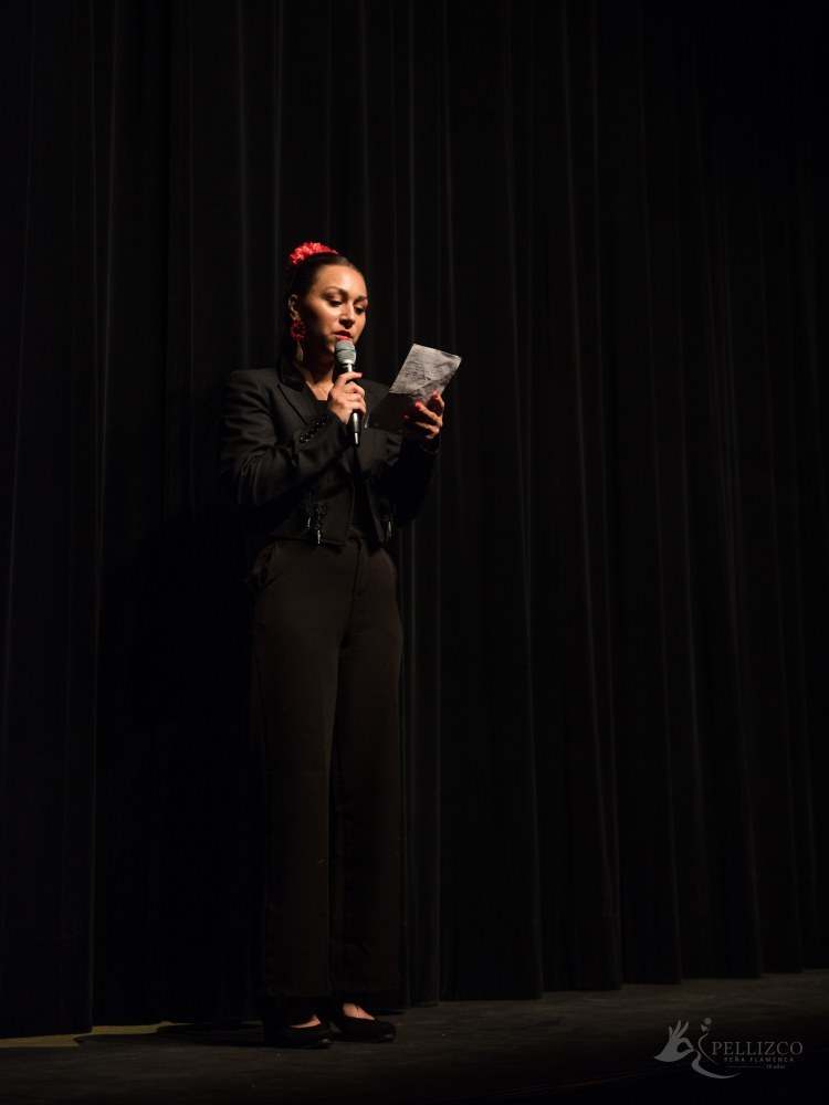 Photo de spectacle