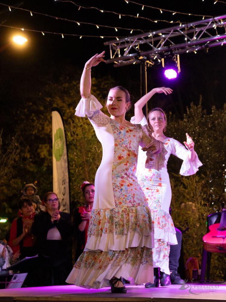 Photo de spectacle