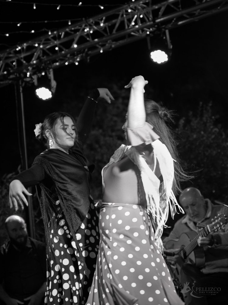 Photo de spectacle