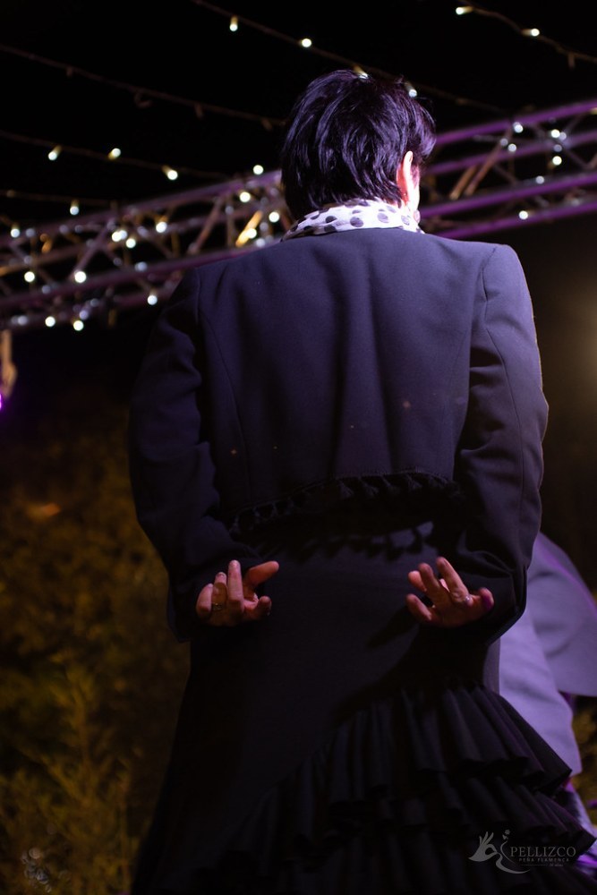 Photo de spectacle