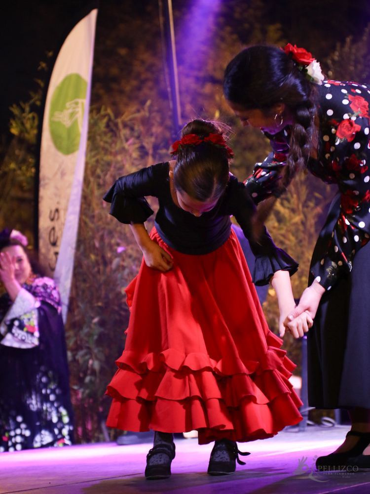 Photo de spectacle