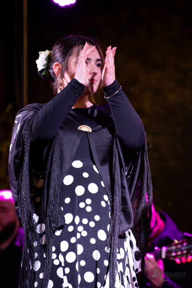 Photo de spectacle
